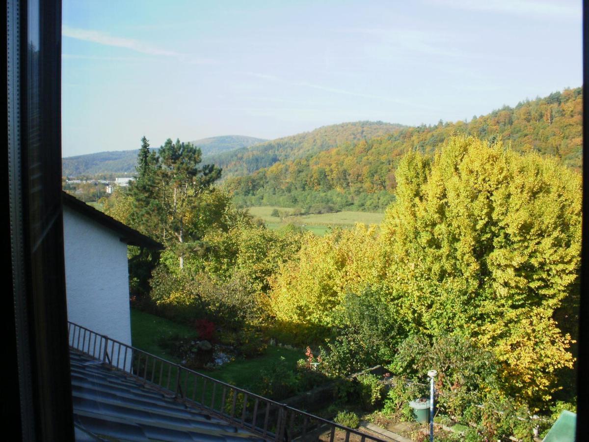 Haus Schipper Am Wald Leilighet Gemunden am Main Eksteriør bilde